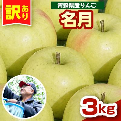 ふるさと納税 五所川原市 ぐんま名月 りんご 3kg 程度 訳あり 青森 五所川原市 11月中旬以降順次発送 リンゴ