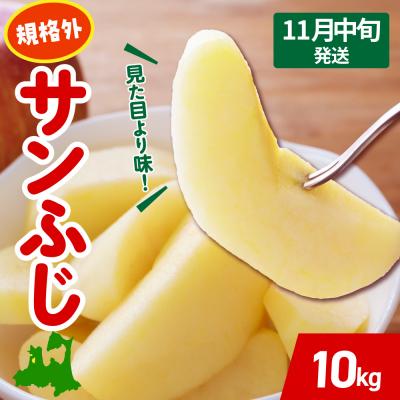 ふるさと納税 五所川原市 [2026年11月中旬発送] りんご 約 10kg サンふじ [規格外] 青森 五所川原
