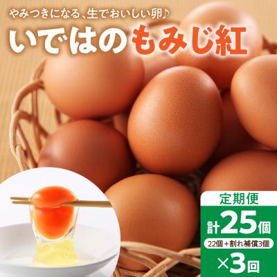 ふるさと納税 河北町 [毎月定期便・全3回]卵 いではのもみじ紅 25個入(破損補償3個含む)×3回 計75個