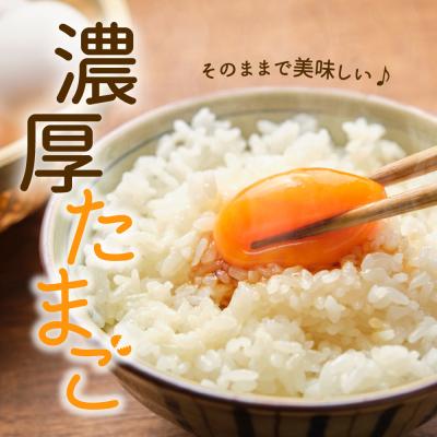 ふるさと納税 河北町 【毎月定期便・全3回】卵 いではのもみじ紅 25個入(破損補償3個含む)×3回 計75個 |  | 01