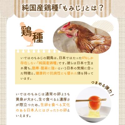 ふるさと納税 河北町 【毎月定期便・全3回】卵 いではのもみじ紅 25個入(破損補償3個含む)×3回 計75個 |  | 02