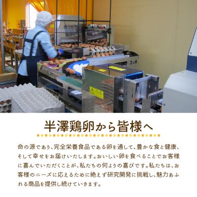 ふるさと納税 河北町 【毎月定期便・全3回】卵 いではのもみじ紅 25個入(破損補償3個含む)×3回 計75個 |  | 03