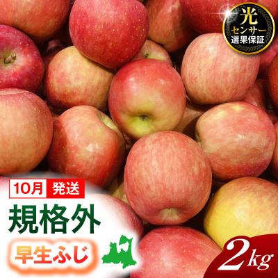 ふるさと納税 五所川原市 [2026年10月発送][規格外] りんご 約2kg 早生ふじ 光センサー選果保証 青森県産