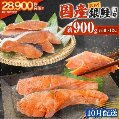 ふるさと納税 石巻市 [10月配送]訳あり 国産 銀鮭 0.9kg 切り身 鮭 さけ 冷凍 不揃い サーモン 塩鮭 石巻市