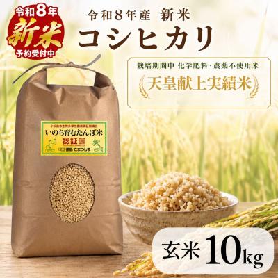 ふるさと納税 小松島市 [令和8年産新米]玄米 コシヒカリ 10kg 天皇献上米 (栽培期間中)化学肥料・農薬不使用米 玄米