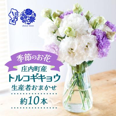 ふるさと納税 庄内町 [R8.9月下旬発送]庄内町フラワーラボ トルコギキョウ 生産者おまかせ 10本