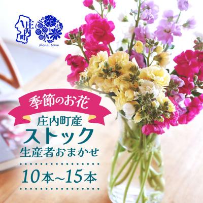 ふるさと納税 庄内町 [R8.11月発送]庄内町フラワーラボ ストック 生産者おまかせ 10本~15本 ミックス