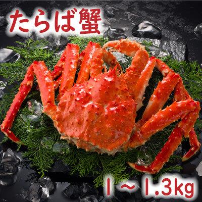 ふるさと納税 根室市 【北海道根室産】たらば蟹1〜1.3kg B-19007 | 