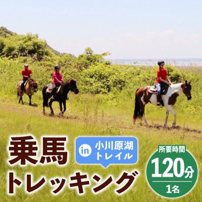ふるさと納税 三沢市 青森県三沢市 乗馬トレッキング(小川原湖トレイル) 1名様 120分