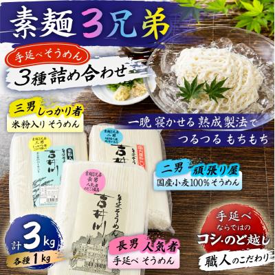ふるさと納税 瀬戸内市 素麺三兄弟 手延べ 素麺 3種 食べ比べ 延原手延素麺製造所 