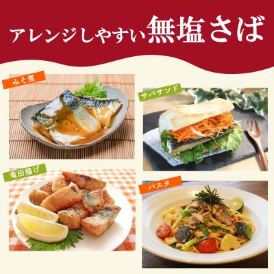 ふるさと納税 下関市 【5営業日以内発送】 訳あり さば 骨取り 国産 約400g さば MH104 |  | 03