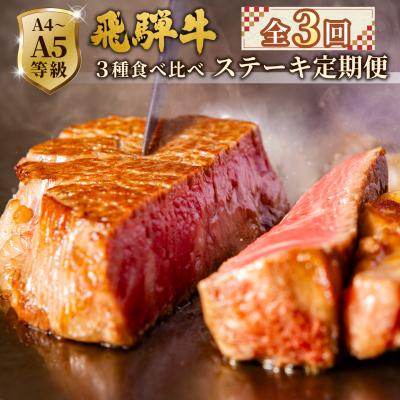 ふるさと納税 七宗町 飛騨牛 A4~A5等級 ステーキ定期便 全3回 計1.49kg ステーキソース付き 肉のひぐち