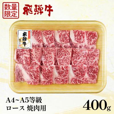 ふるさと納税 東白川村 [数量限定]飛騨牛 ロース 焼肉用 400g BBQ キャンプ 肉のひぐち