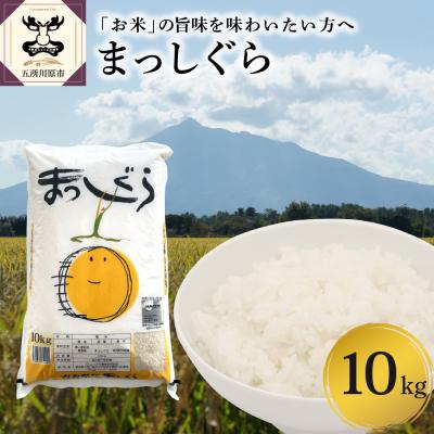 ふるさと納税 五所川原市 米 まっしぐら10kg(白米) 青森 五所川原