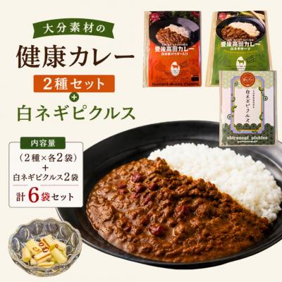 ふるさと納税 豊後高田市 大分素材の健康レトルトカレーと白ネギピクルスセット レトルトカレーセット 湯煎・電子レンジ対応