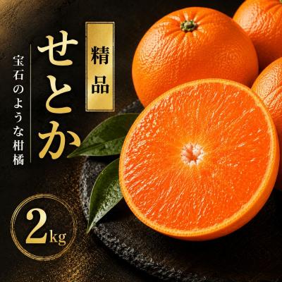 ふるさと納税 愛南町 [先行予約] せとか 2kg 精品 ハウス みかん 贈答 ギフト プレゼント 愛媛 愛南 豊田農園