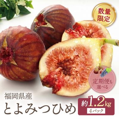 ふるさと納税 福智町 ふくふく果実定期便(いちじく・ぶどう)(年2回)