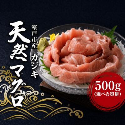 ふるさと納税 室戸市 天然カジキマグロ 500g マグロ 鮪 まぐろ 父の日 ディナー お盆 冷凍 鮮魚 前田水産 高知県