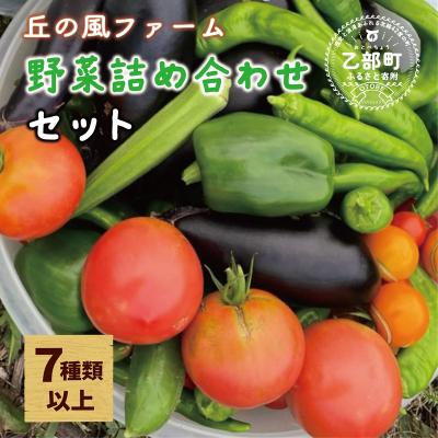 ふるさと納税 乙部町 【丘の風ファーム 野菜詰め合わせセット】 | 
