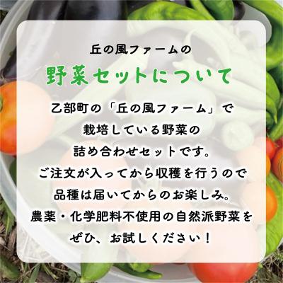ふるさと納税 乙部町 【丘の風ファーム 野菜詰め合わせセット】 |  | 01