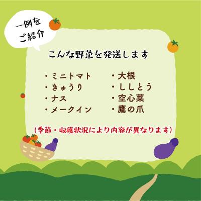 ふるさと納税 乙部町 【丘の風ファーム 野菜詰め合わせセット】 |  | 02