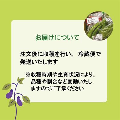 ふるさと納税 乙部町 【丘の風ファーム 野菜詰め合わせセット】 |  | 03