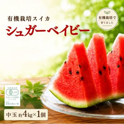 ふるさと納税 豊後高田市 有機栽培スイカ シュガーベイビー(スイカ) 中玉 約4kg x 1個 すいか 西瓜 豊後高田市