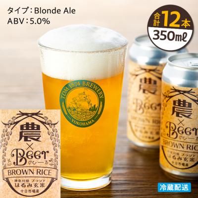 ふるさと納税 横浜市 TDM 1874 Brewery 農×Beerはるみ玄米(350ml×12本)_ABG0009-01