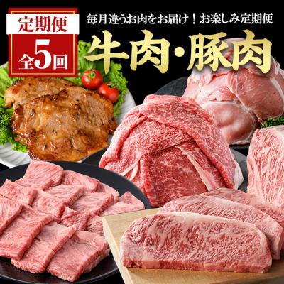 ふるさと納税 曽於市 [5回定期]毎月違うお肉をお届け!お楽しみ定期便 (合計2.66kg以上)