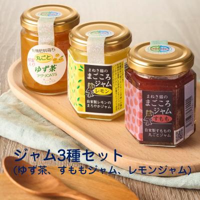 ふるさと納税 宗像市 手作りジャム3種(ゆず茶・すもも・レモン)[アグリCATS]