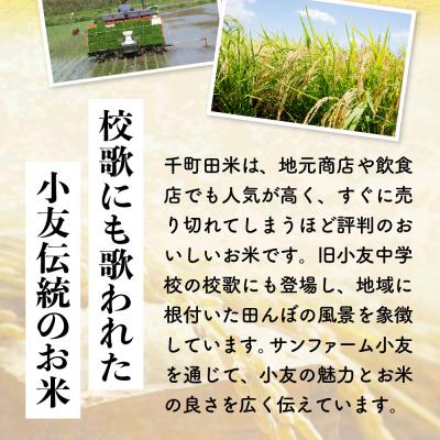 ふるさと納税 陸前高田市 令和8年産 ひとめぼれ 玄米 5kg 千町田米 布袋様 パッケージ 米 お米 ライス 限定 |  | 01