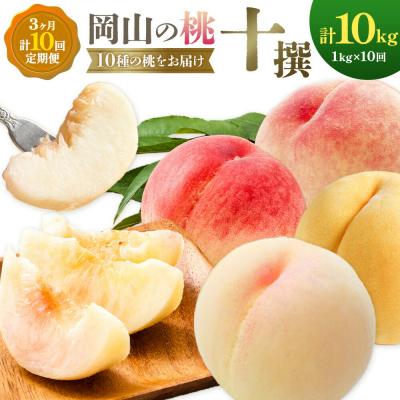 ふるさと納税 笠岡市 [2027年発送先行予約]桃 3ヶ月 計10回 定期便 岡山の桃 十撰 10種 各1kg 計10kg