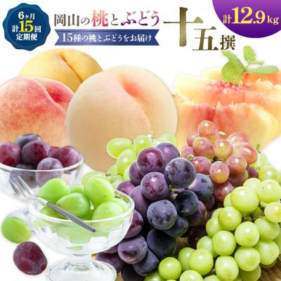 ふるさと納税 笠岡市 [2027年発送先行予約] 桃 ぶどう 計15回 定期便 岡山 10種 計12.9kg