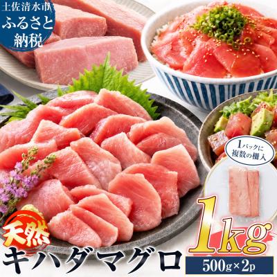 ふるさと納税 土佐清水市 訳あり 天然マグロ 赤身 1kg(500g×2パック)天然キハダマグロ 冷蔵[R01619]