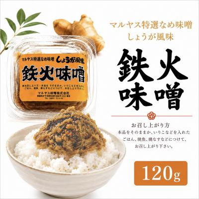 ふるさと納税 愛南町 鉄火みそ120g 4パック 愛媛県 愛南町 マルヤス味噌
