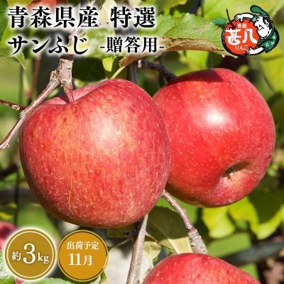 ふるさと納税 平川市 11月発送 特選 甚八りんごサンふじ3kg [マルジンサンアップル]