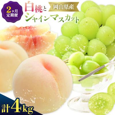 ふるさと納税 笠岡市 [2027年発送先行予約]ぶどう 白桃 2ヶ月 定期便 岡山の白桃とシャインマスカット 計4kg