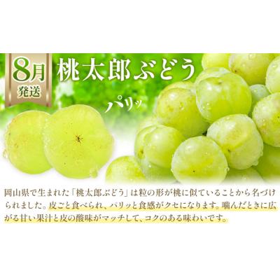 ふるさと納税 笠岡市 [2027年発送先行予約]ぶどう 3ヶ月定期便 岡山のぶどう 3種 食べ比べ 各700g 計2kg
