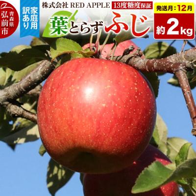 ふるさと納税 弘前市 [26年12月発送]りんご 葉とらずふじ[訳あり]家庭用 約2kg|24_rap-020201zj