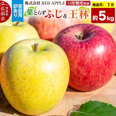 ふるさと納税 弘前市 [27年1月発送]りんご[訳あり]家庭用 葉とらずふじ&amp;王林 約5kg|24_rap-060501n