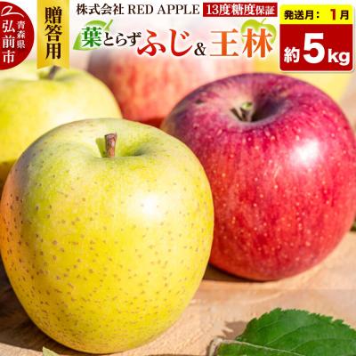 ふるさと納税 弘前市 [27年1月発送]りんご[贈答用]葉とらずふじ&amp;王林 約5kg|24_rap-050501n