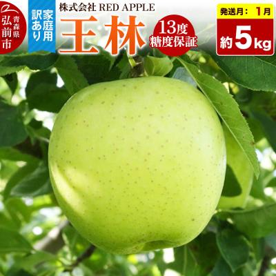 ふるさと納税 弘前市 [27年1月発送]りんご[訳あり]家庭用 王林 約5kg|24_rap-040501n