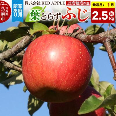 ふるさと納税 弘前市 [27年1月発送]りんご[訳あり]家庭用 葉とらずふじ 約5kg|24_rap-020501n