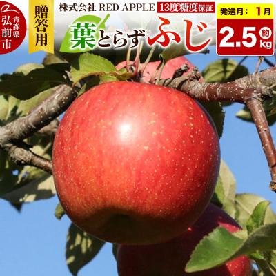 ふるさと納税 弘前市 [27年1月発送]りんご[贈答用]葉とらずふじ 約2.5kg|24_rap-010201n