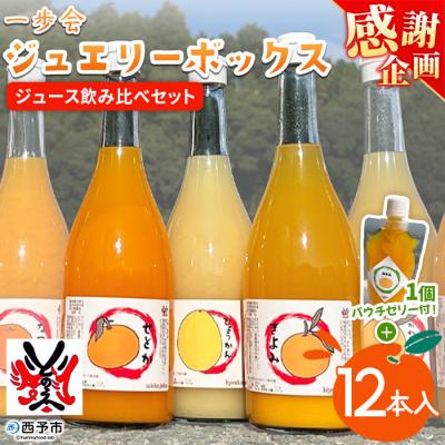 ふるさと納税 西予市 [感謝企画]一歩会 ジュエリーボックス ジュース飲み比べセット720ml12本+ゼリー1個