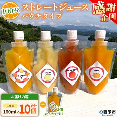 ふるさと納税 西予市 [感謝企画]<100%ストレートジュース パウチタイプ160ml×10個+パウチゼリー165g1個