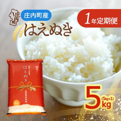 ふるさと納税 庄内町 [定期便]<令和8年産>はえぬき 5kg×1袋×1年間 毎月 5kg[10月中旬発送]