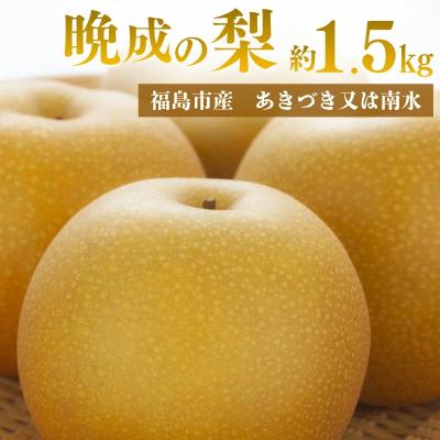 ふるさと納税 福島市 アグリード福島市産晩成の梨(あきづき又は南水) 約1.5kg[2026年発送]No3368