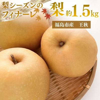 ふるさと納税 福島市  アグリード 福島市産 最終盤の梨(王秋) 約1.5kg(3〜5玉)【2026年発送】No.3369 | 