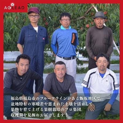 ふるさと納税 福島市  アグリード 福島市産 最終盤の梨(王秋) 約1.5kg(3〜5玉)【2026年発送】No.3369 |  | 01